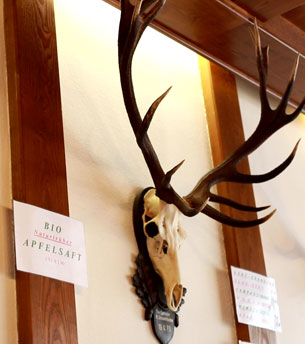 Hotel Stüberl Hotel Stüberl